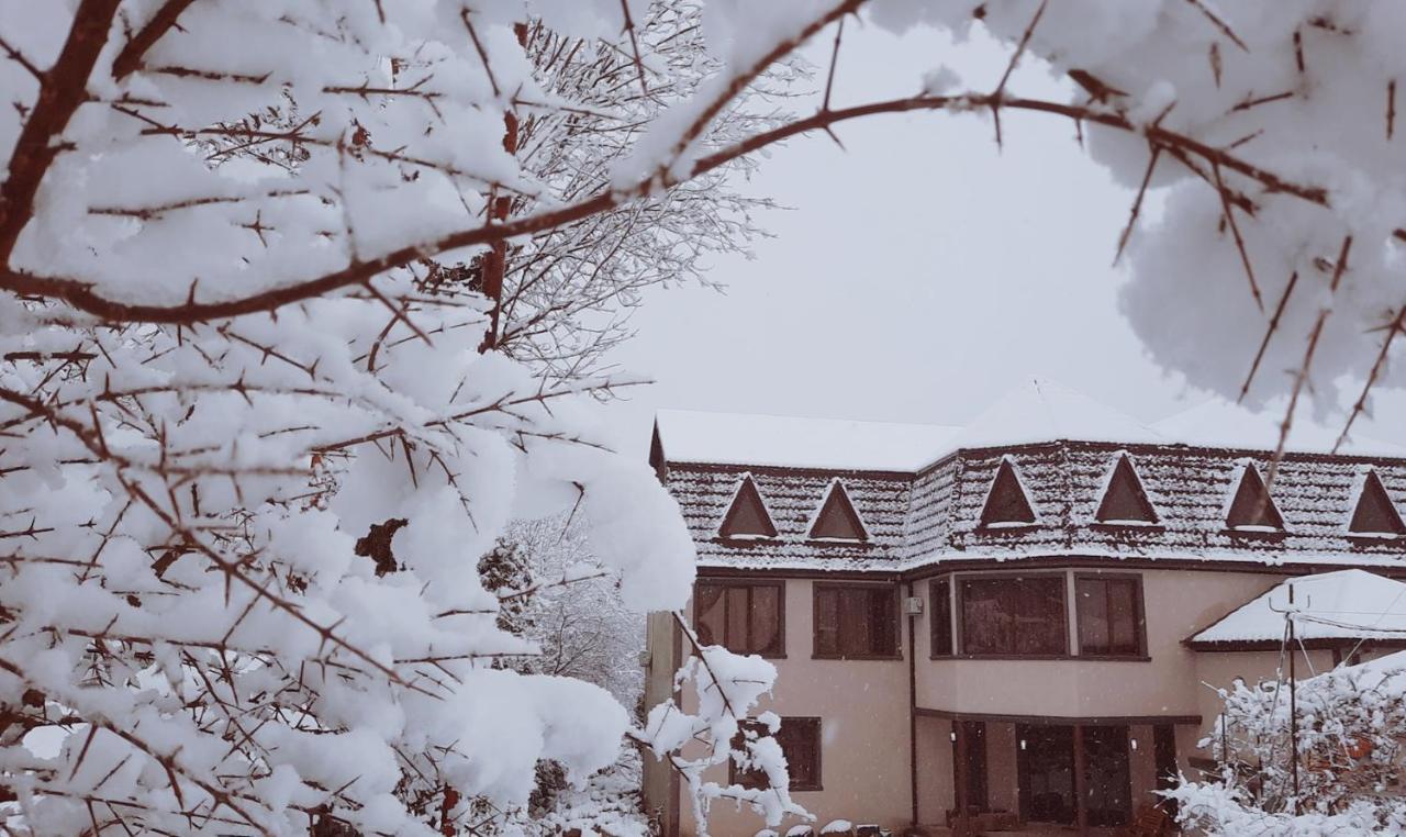 Inaisi Hotel 쿠타이시 외부 사진